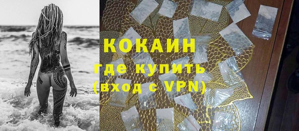 ГАЛЛЮЦИНОГЕННЫЕ ГРИБЫ Ладушкин